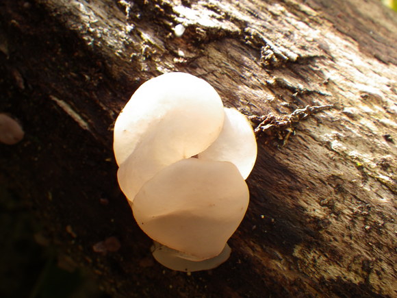 f0118332_0113740.jpg