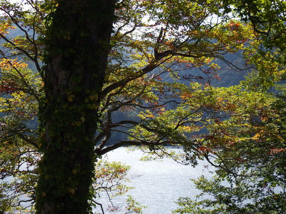 f0118332_084033.jpg