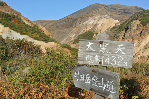 f0118332_12535825.jpg