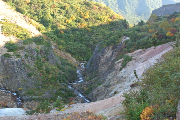 f0118332_12541587.jpg