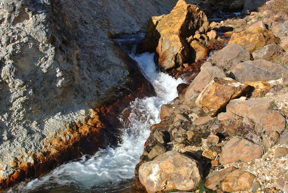f0118332_12555259.jpg