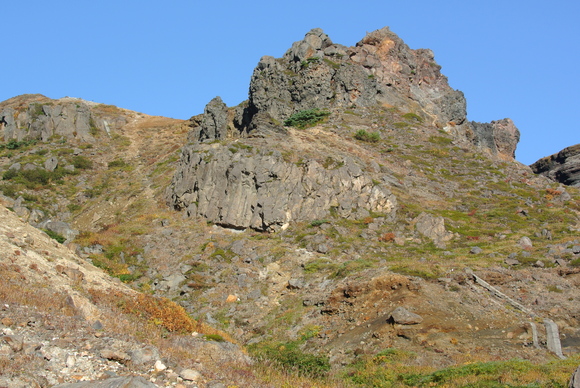 f0118332_12562022.jpg