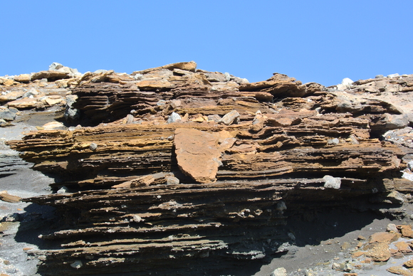 f0118332_130268.jpg