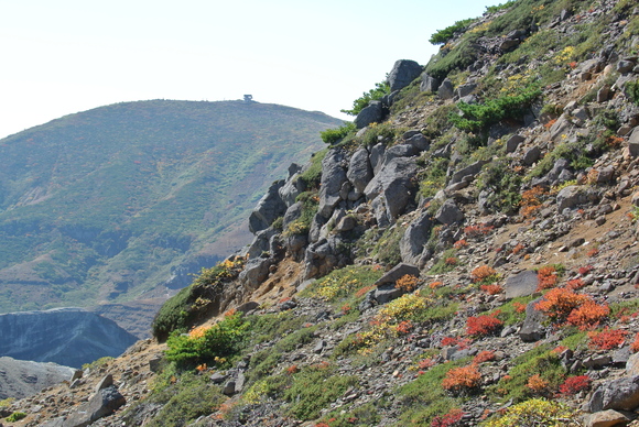 f0118332_1319305.jpg