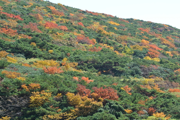f0118332_13215275.jpg