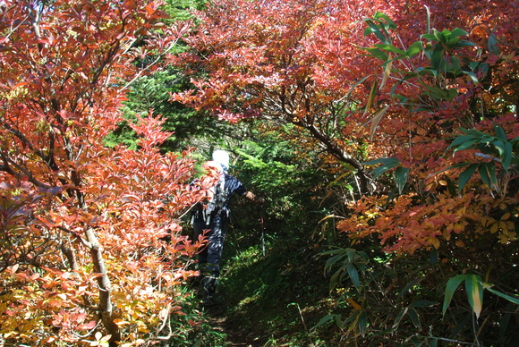 f0118332_13233972.jpg