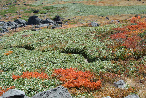 f0118332_14164970.jpg