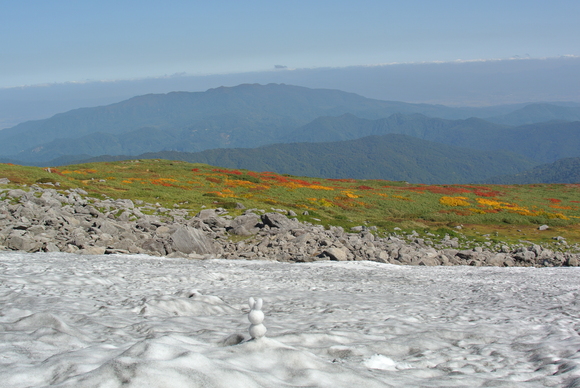 f0118332_1419276.jpg
