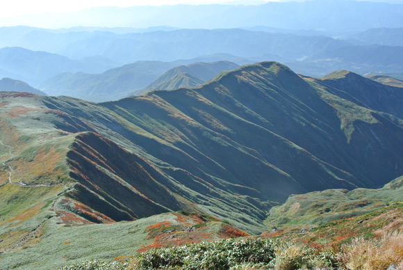 f0118332_14213865.jpg
