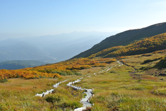 f0118332_14222890.jpg