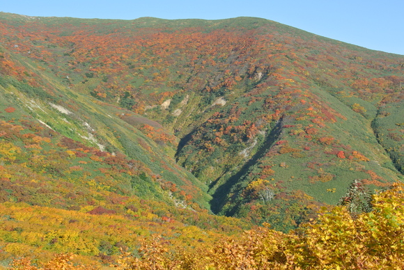 f0118332_14225793.jpg