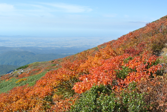 f0118332_142258.jpg