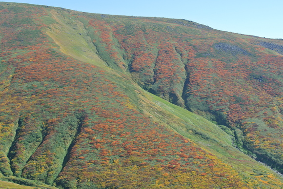 f0118332_1452370.jpg