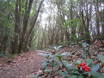 c0077338_21413414.jpg
