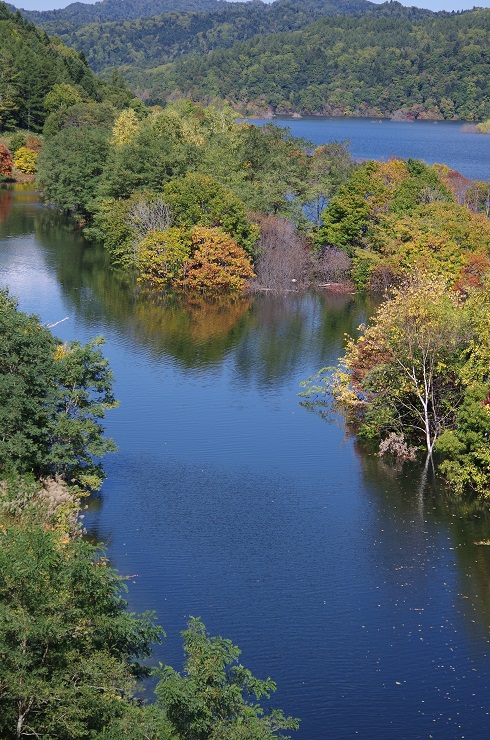 d0165741_142447.jpg