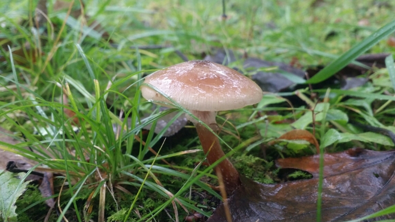 c0310543_1152534.jpg