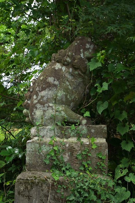 c0180845_216746.jpg
