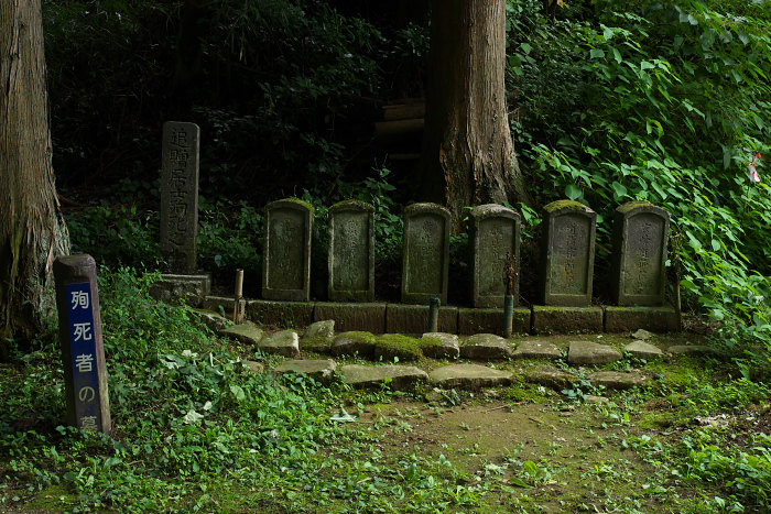 c0180845_2281866.jpg