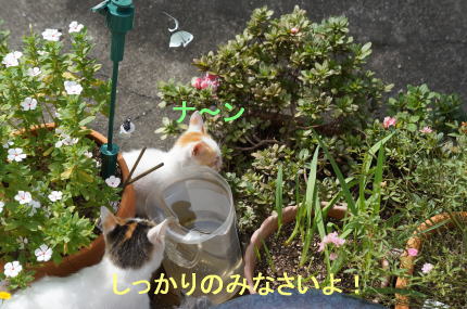 d0013645_13135666.jpg