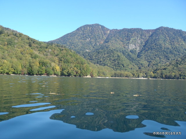 d0182245_150366.jpg