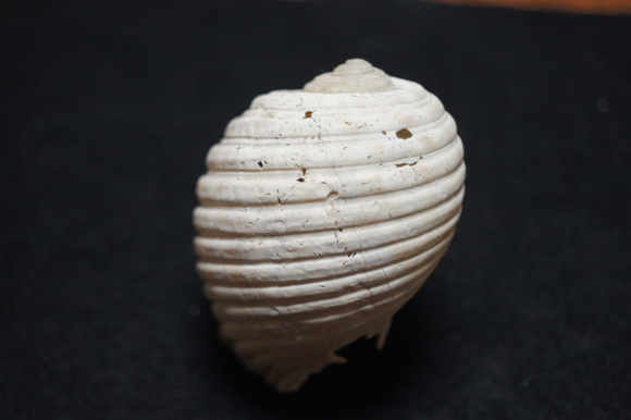 c0312349_18334172.jpg