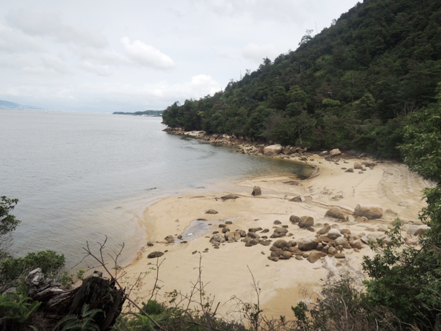 b0173754_14552646.jpg