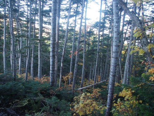 b0335256_22013135.jpg