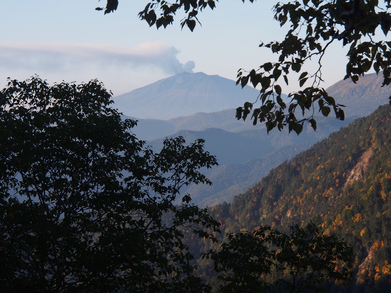 b0335256_22034665.jpg