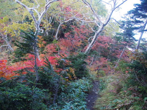 b0335256_22470663.jpg