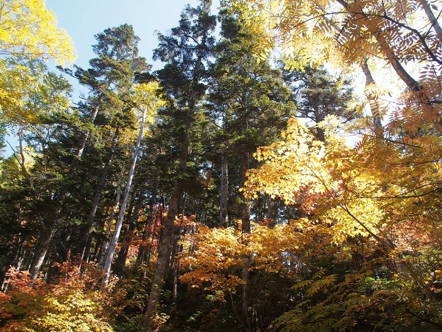 b0335256_22474601.jpg