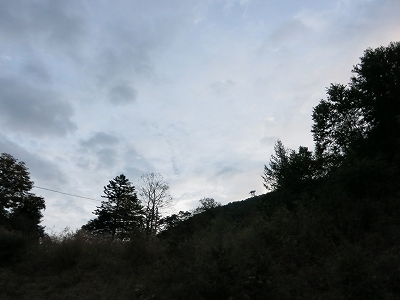 e0170558_22163926.jpg