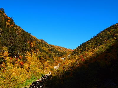 e0170558_23441205.jpg