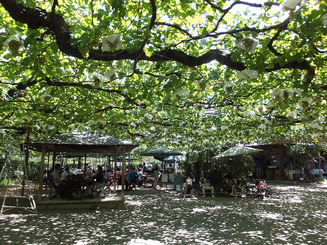 e0176158_13403135.jpg