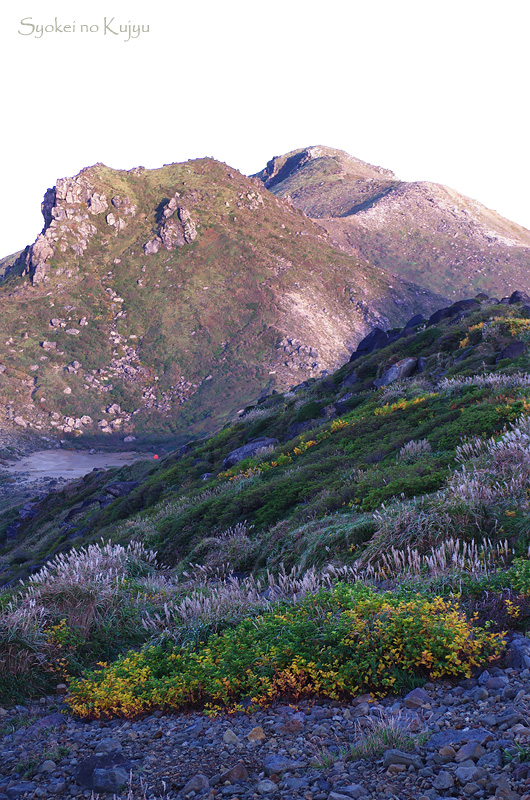 c0288262_16205224.jpg
