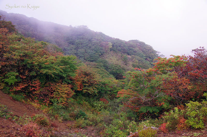 c0288262_16225380.jpg