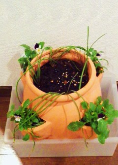 c0336266_09104504.jpg