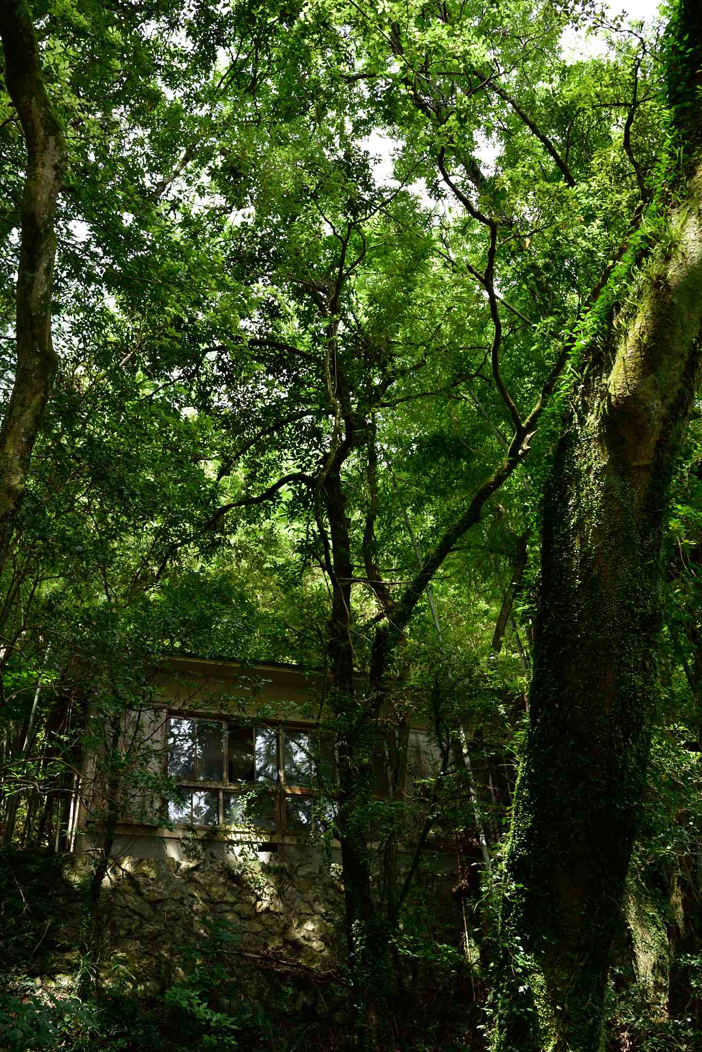 b0346568_18135315.jpg