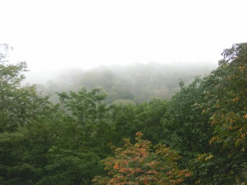 e0045768_2135361.jpg