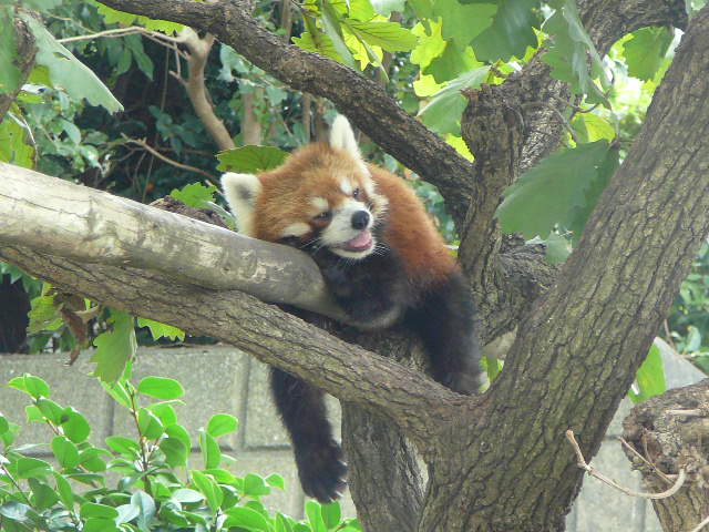 d0104974_9365551.jpg