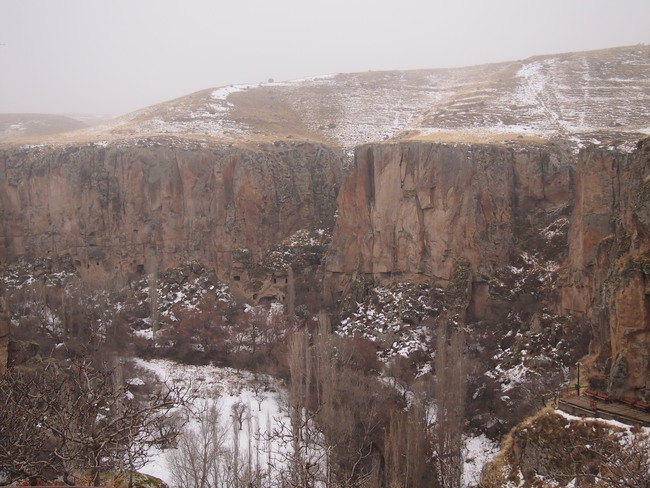 f0248074_4134386.jpg