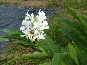b0057675_2058430.jpg