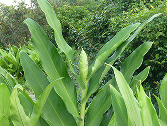 b0057675_2058795.jpg