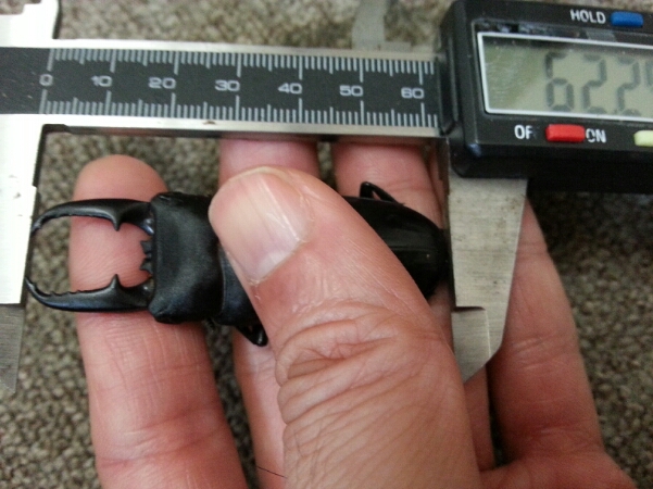 f0183484_13253267.jpg
