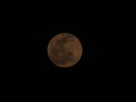 c0338191_00552594.jpg
