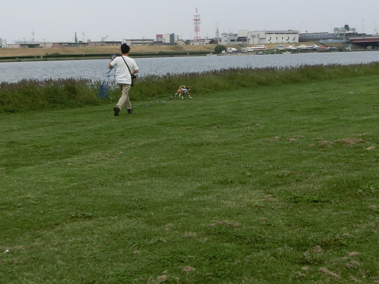 a0319693_8351368.jpg
