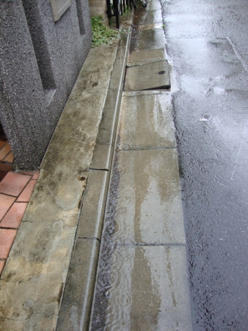 c0322794_10383618.jpg