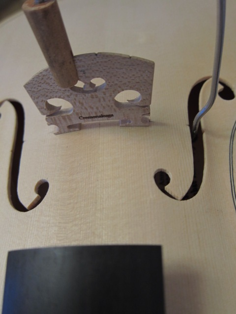 d0040395_17354447.jpg