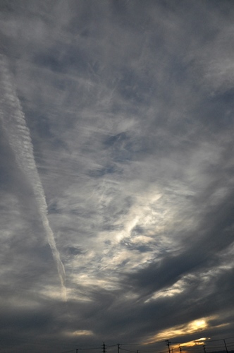 f0176499_04005813.jpg