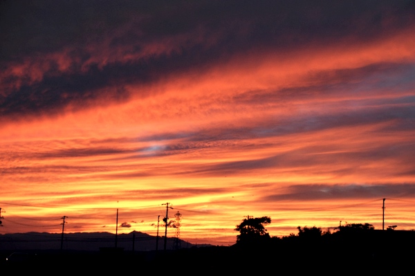 f0176499_04030273.jpg