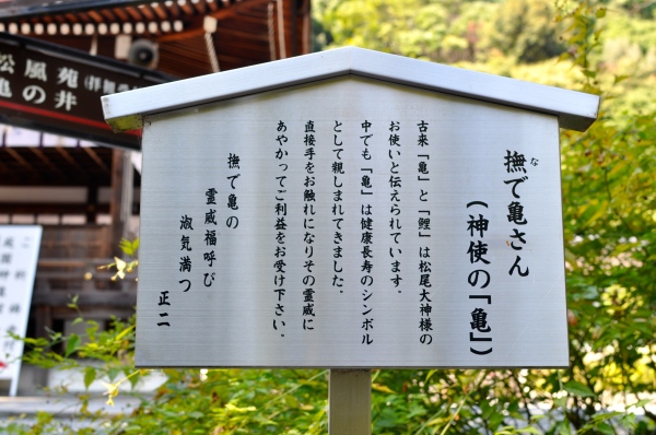 e0007801_00081165.jpg